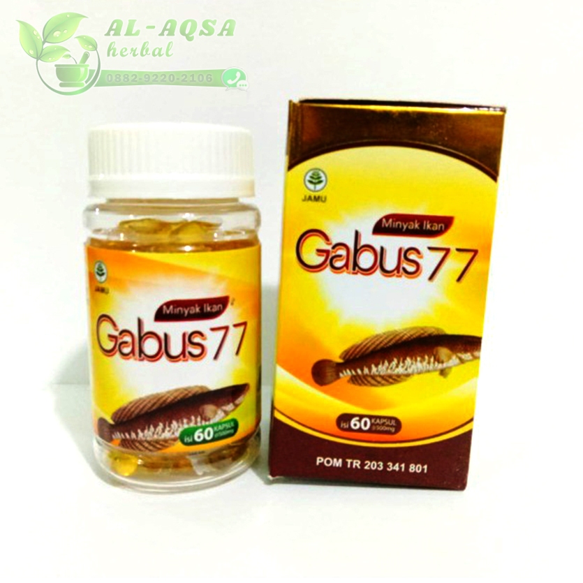 Minyak ikan Gabus 77 60kspl - albumin fish oil daurusyifa