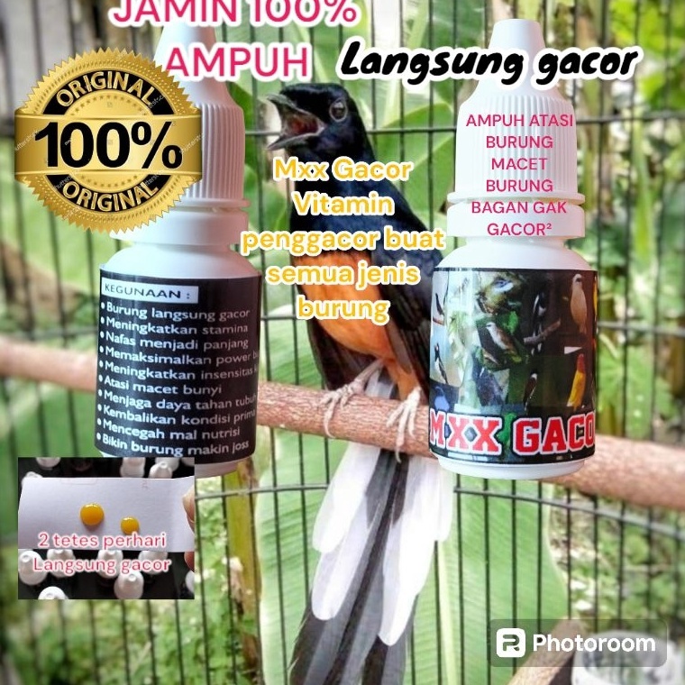 MXX GACOR  vitamin penggacor semua jenis burung cuma 1 hari 2x tetes terbukti nyata khasiatnyaVITAA 