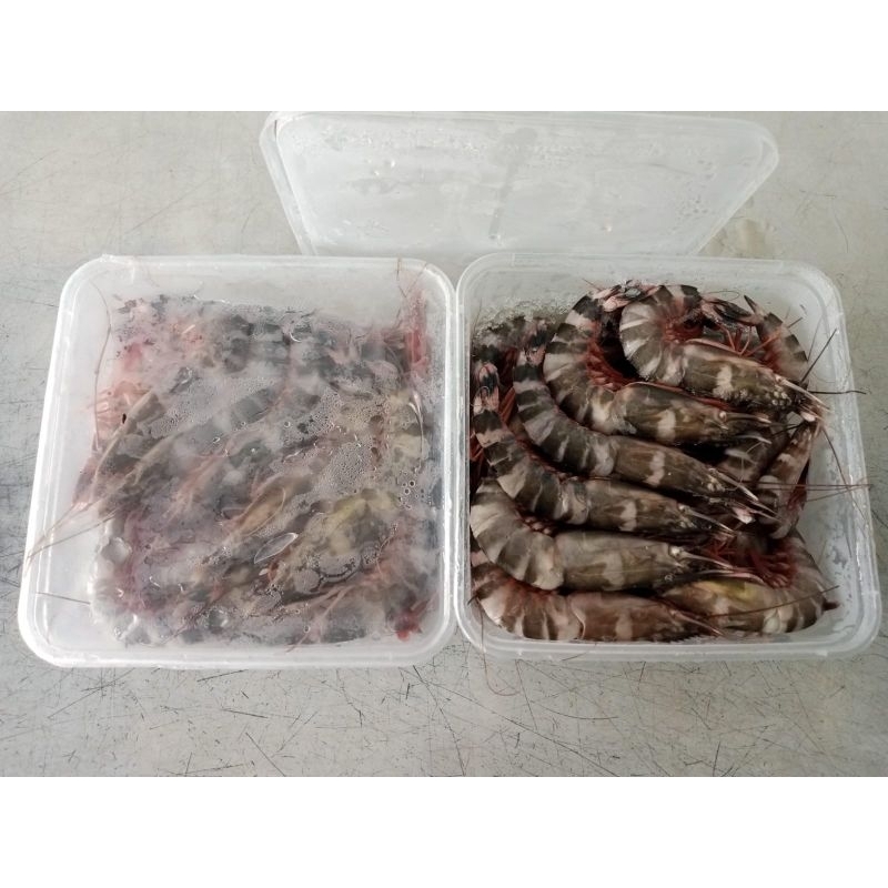 

Udang Windu 1kg