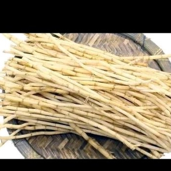 

alang-alang(ilalang) segar per gram
