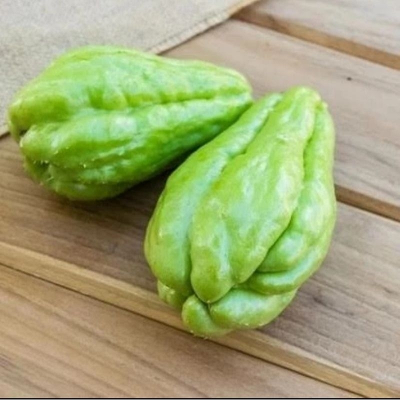 

Labu Siam Kecil