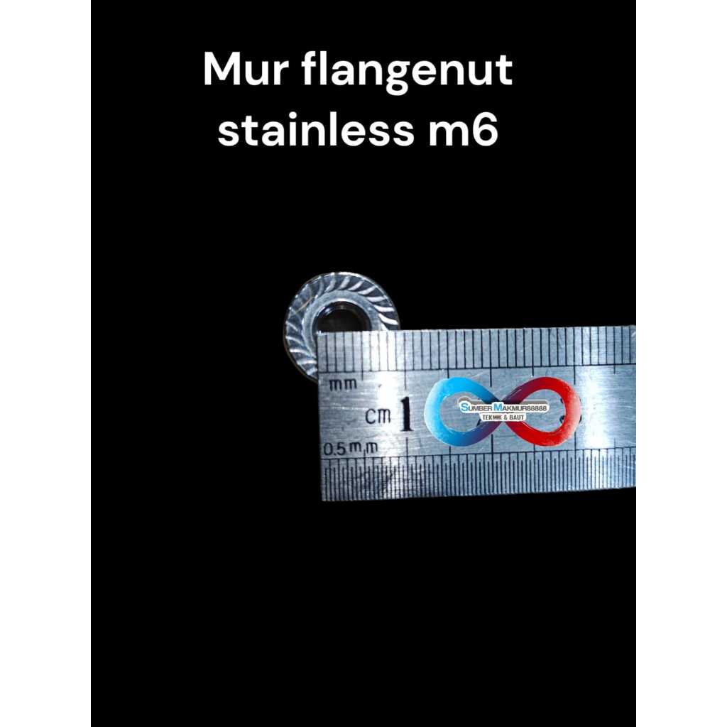 Mur Flange stainless m6