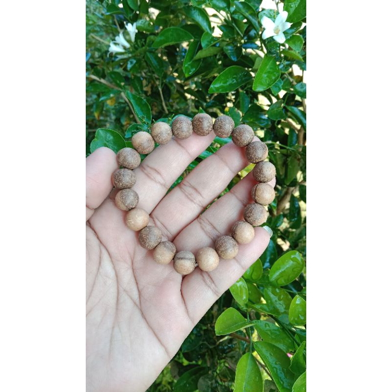 gelang bidara 10 mm gelang elastis kayu bidara