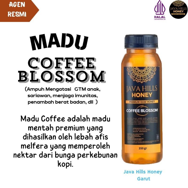 

Madu Coffee Blossom 320gr Java Hills Honey Raw Mumtaz Herba masuk angin mual gangguan penambah nafsu makan GTM pencernaan mimisan sariawan flu batuk demam murni 100% Lolos uji lab Halal Bersanad Asli kesehatan pernafasan tenggorokan panas dalam amandel