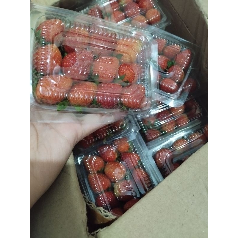 

Strawberry Organik Bandung/Asli Ciwidey