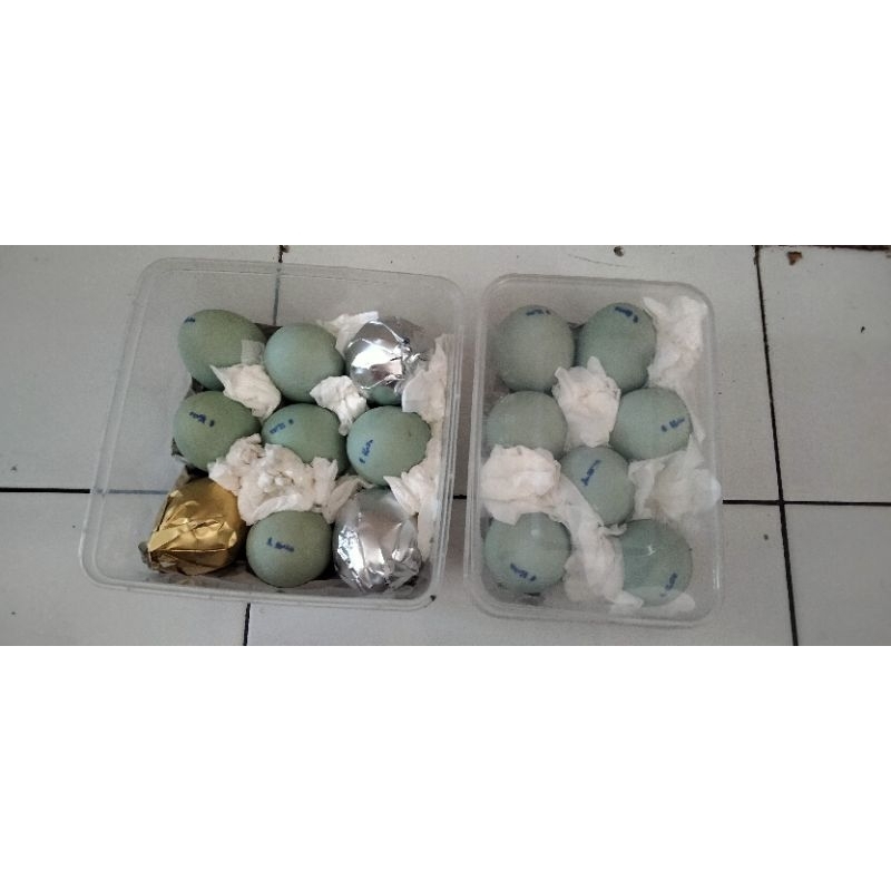 

Telur asin Sidoarjo