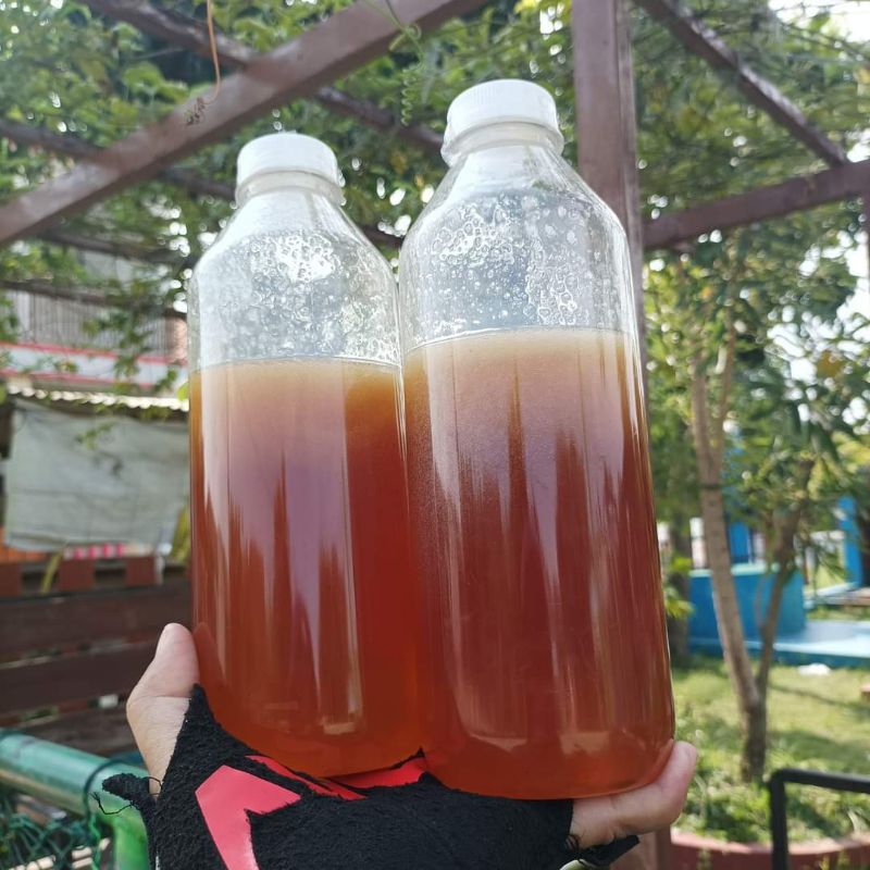 

Madu Randu , Madu Multiflora @1kg.