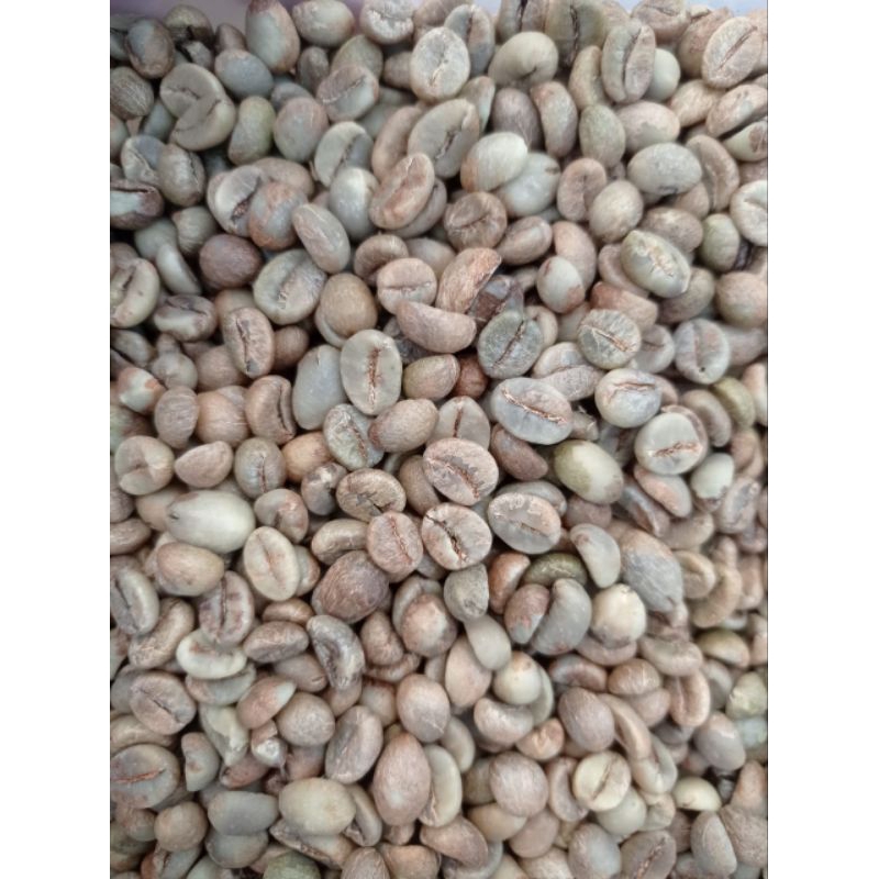 

Pangandaran Green Beans Robusta Grade1 1000gr