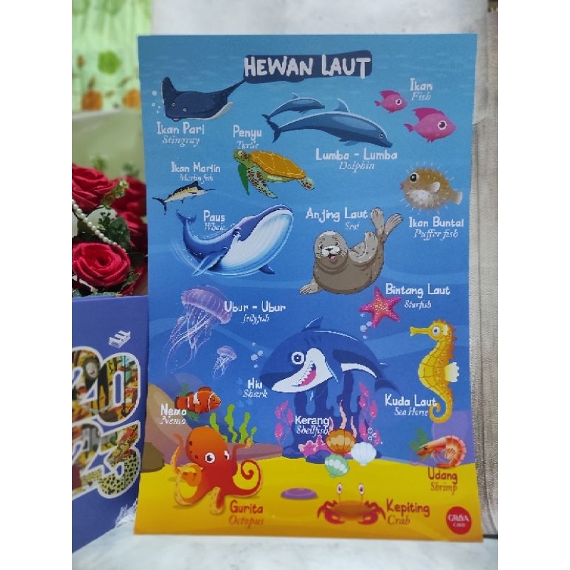 

Poster Edukasi Hewan Laut ARShoop Samarinda