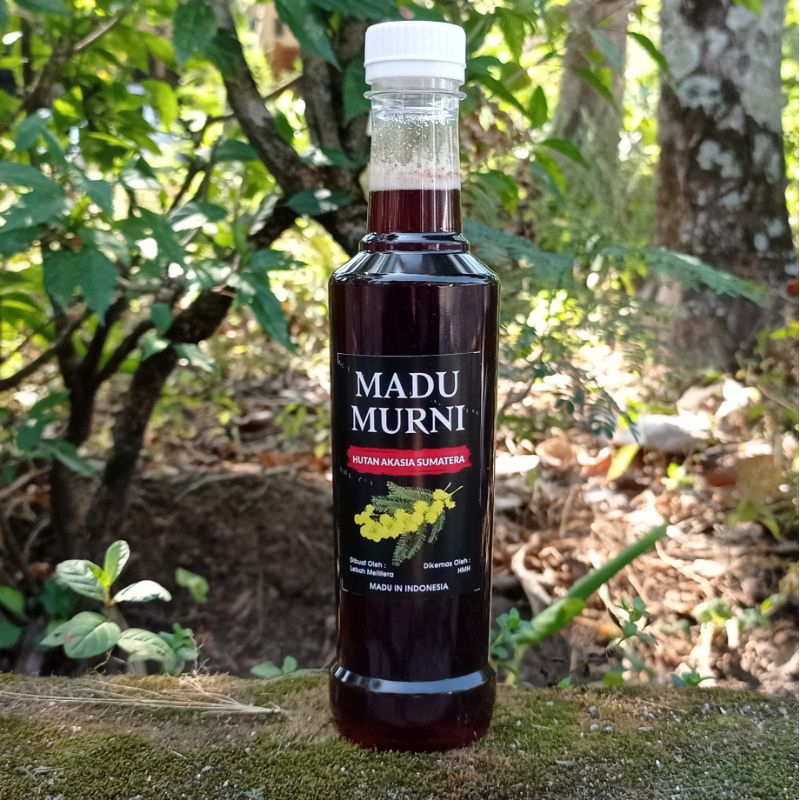 

Madu Akasia 500 gr Mentah Murni Alami