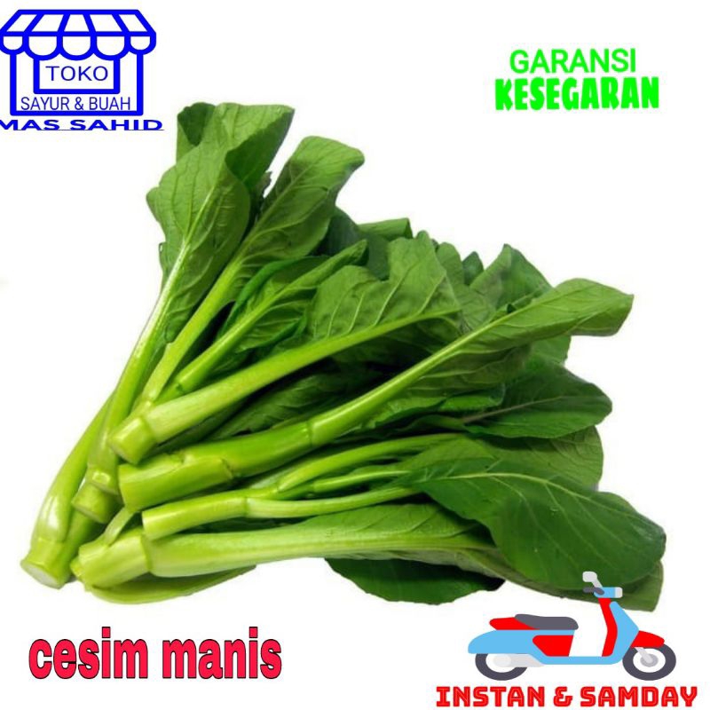 

Cesim Manis Sawi Manis Segar 200 Gram