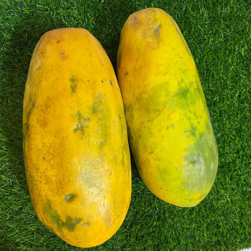 

Pepayaa 2kg/kondisi belum Mateng