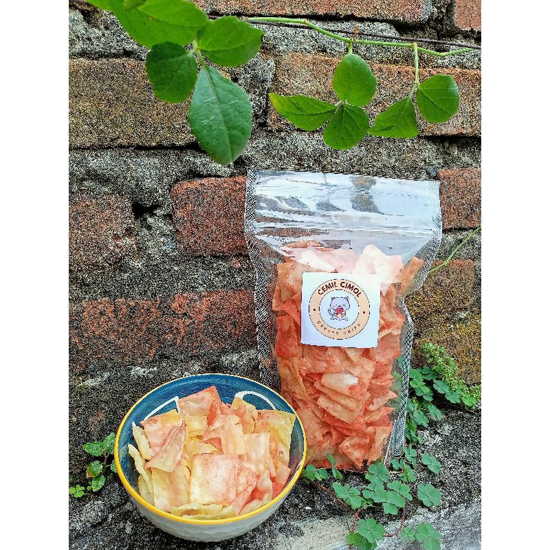 

KERIPIK KULIT PANGSIT (90 gram)