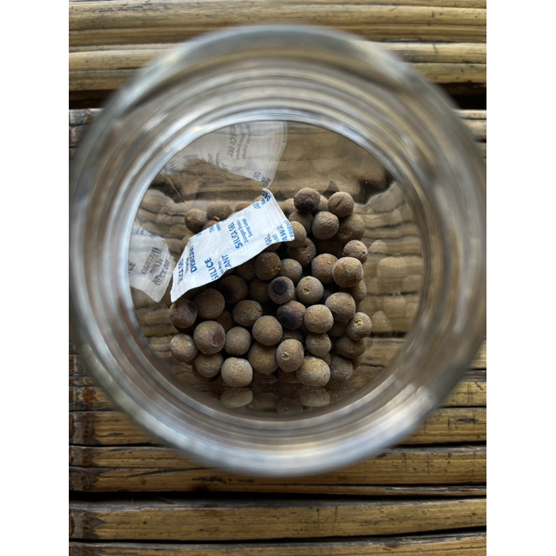 jamu stamina merpati