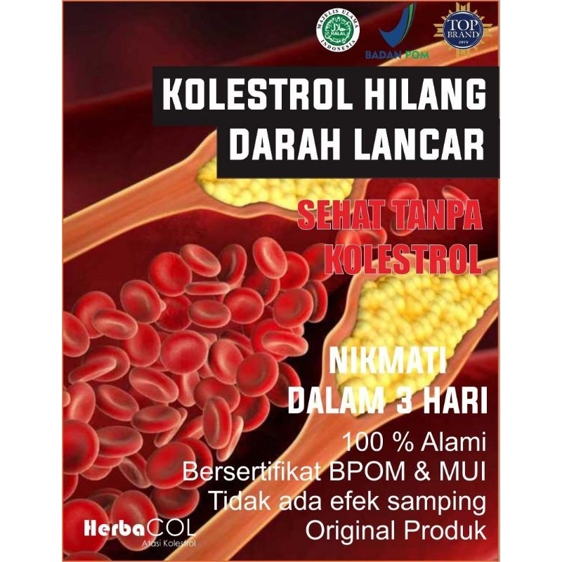 Obat Kolesterol Asam Urat Penurun Kolestrol Jahat Darah Tinggi Hipertensi Syaraf Kejepit Atasi Lemak