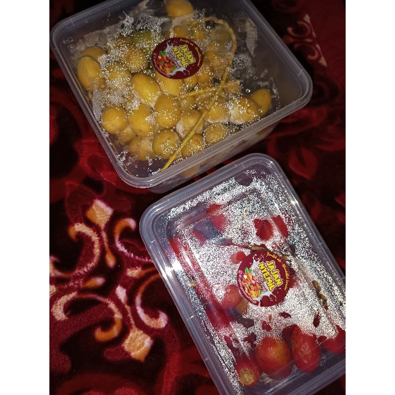 

Kurma Muda