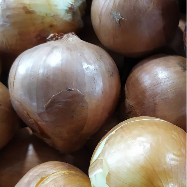 

Bawang Bombay 1 kg