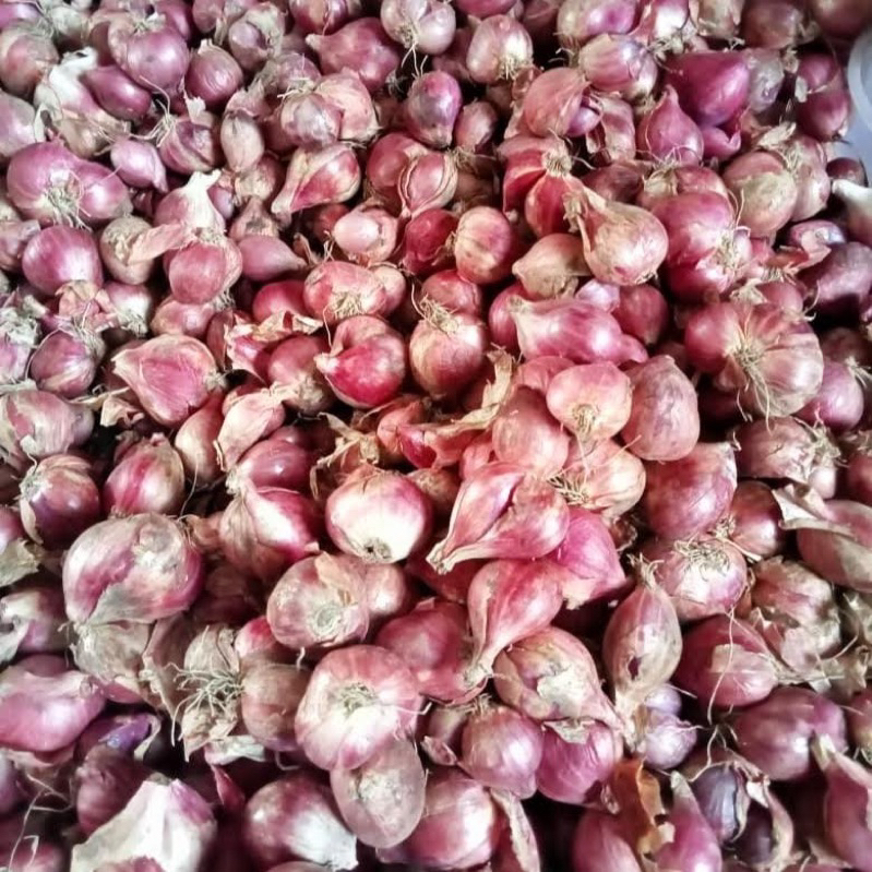 

Bawang Merah Lokal 500gr