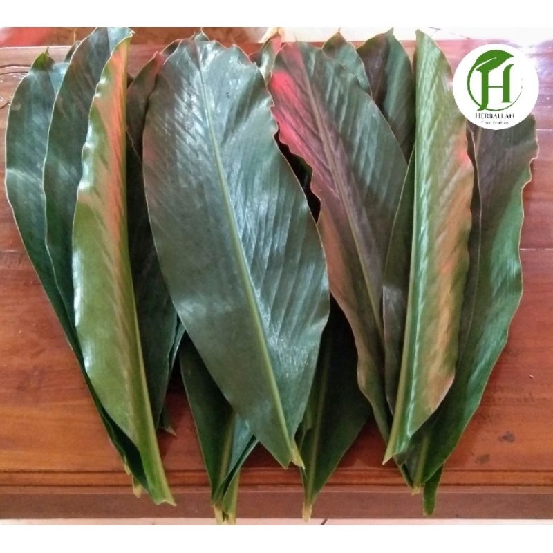 

Daun kapolaga segar 1 Kg