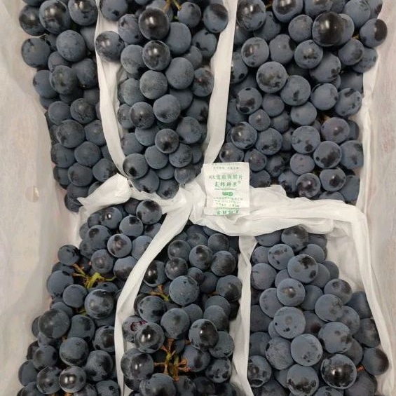 

Anggur Black Muscat Pack PROMOOOO