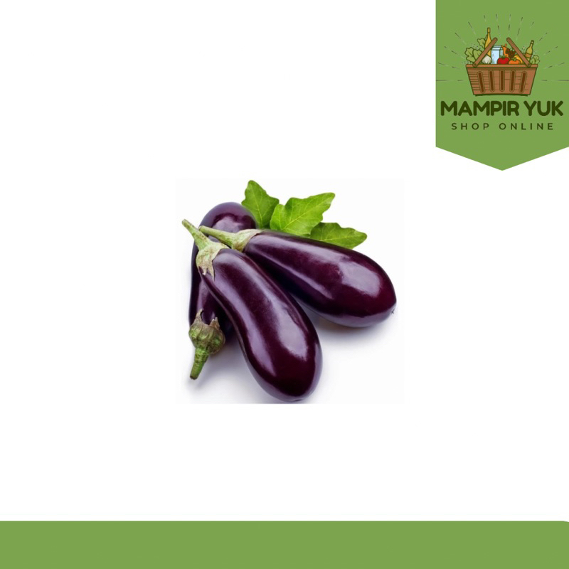 

Terong ungu Belanda 500gr-1kg | mampiryuk
