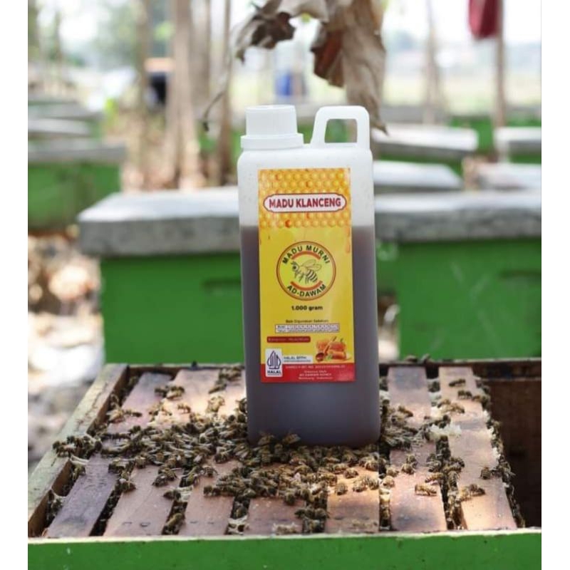 

Madu Klanceng/ madu liar/ madu murni