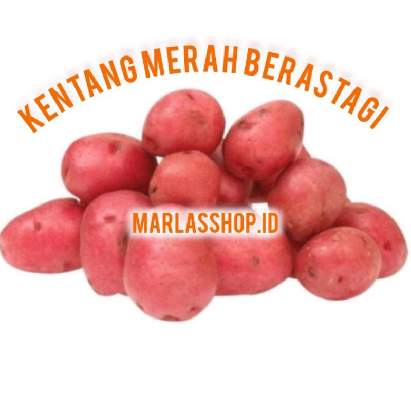 

Kentang Merah Berastagi 1 Kg