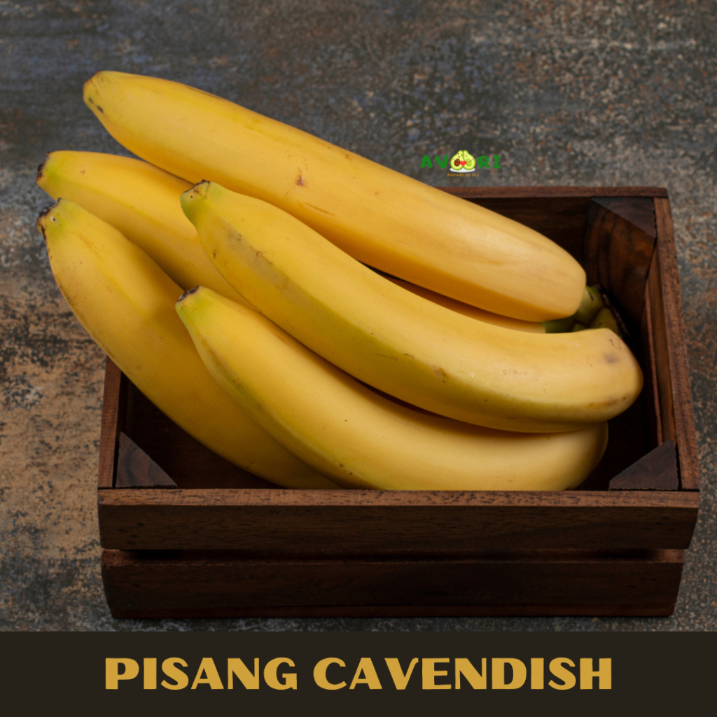 

AVOORI - Pisang Cavendish Super ( Sunpride )
