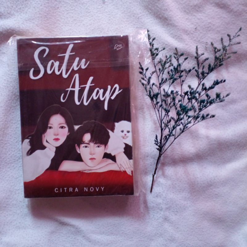 Preloved Novel Satu Atap by Citra Novy