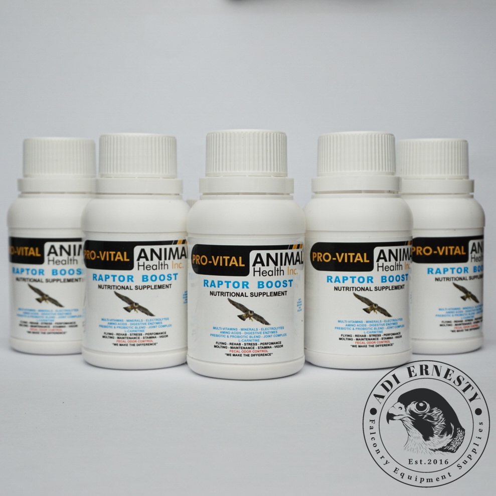 PROVITAL (Suplemen Khusus Burung Predator)