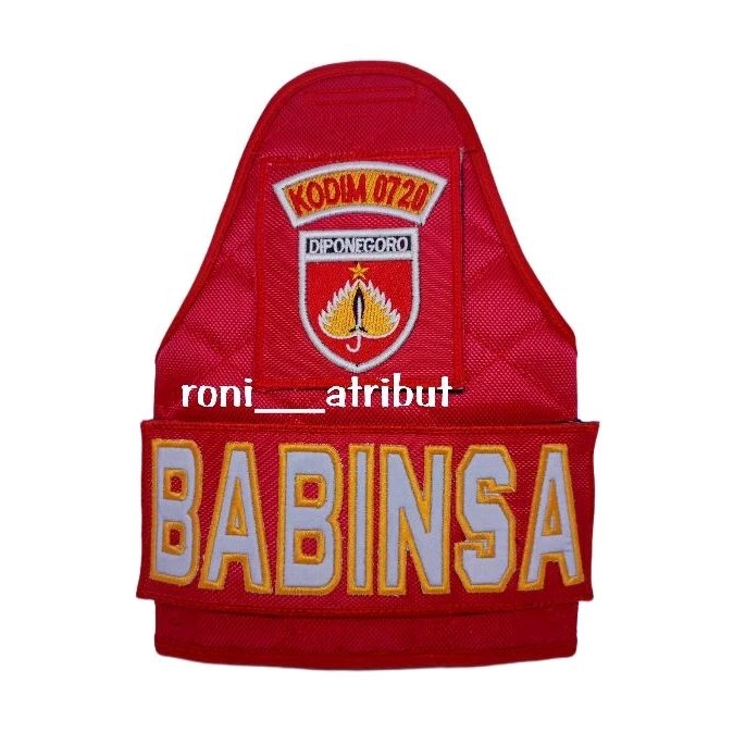 BAN LENGAN (BABINSA)