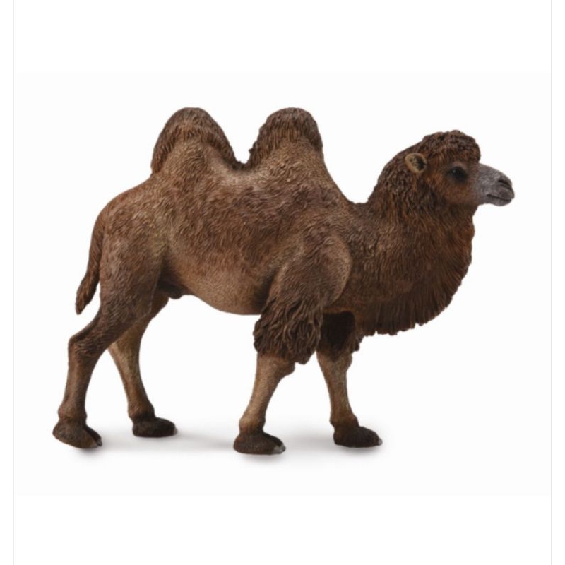 Bactrian Camel 88807 Unta Mainan Animal Figure Binatang Miniature Edukasi Anak Hewan Figurine Pajang