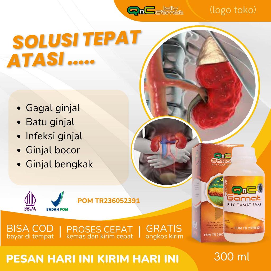 Obat Batu Ginjal, Obat Infeksi Ginjal, Obat Ginjal Bocor, Obat Ginjal Bengkak, Obat Nyeri Ginjal - Q