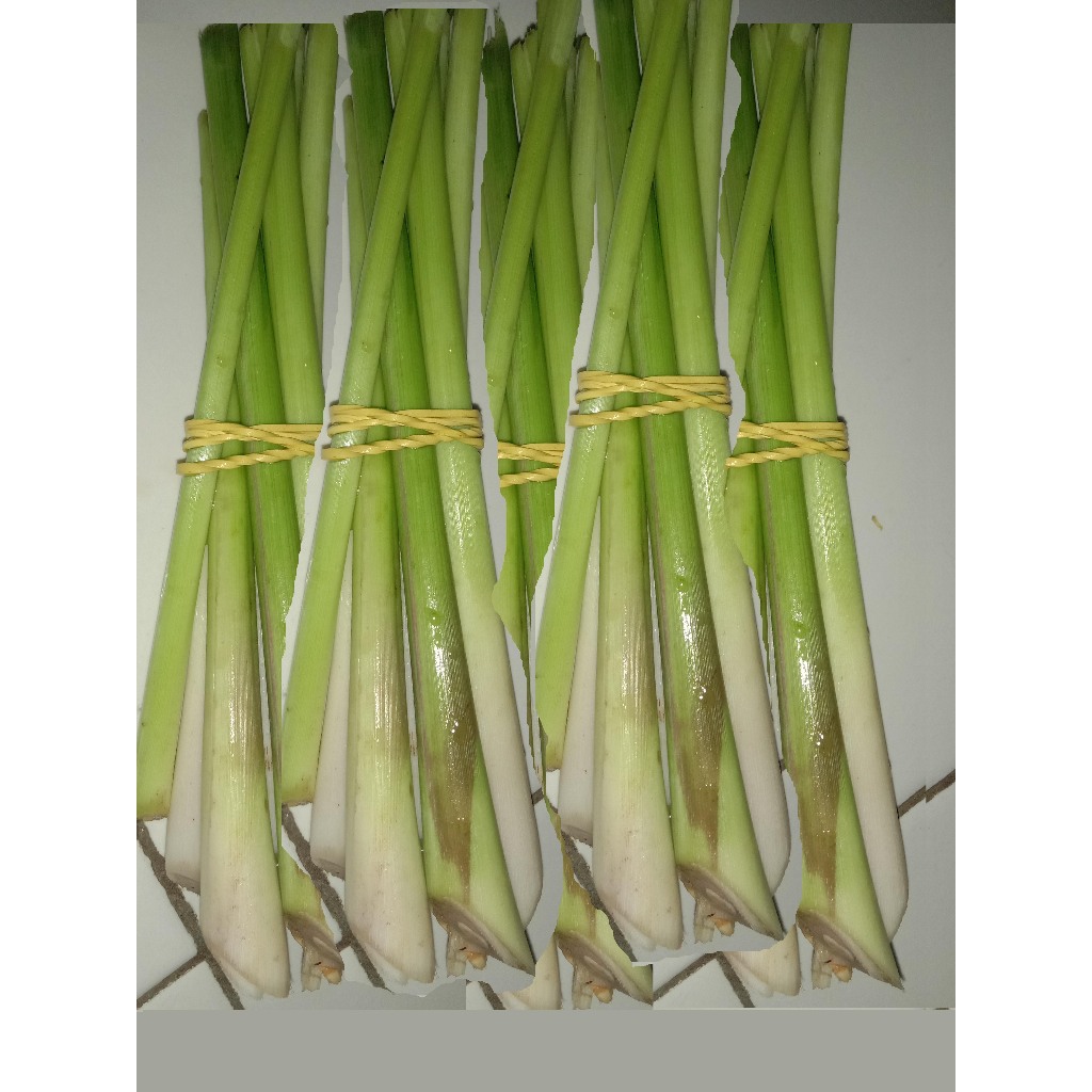 

sereh/serei buat masak