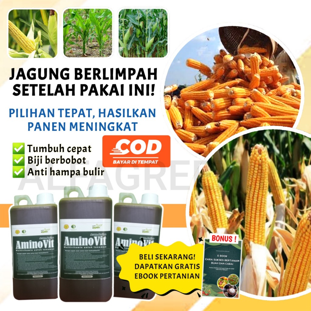 TERMURAH  ASAM AMINO UNTUK TANAMAN