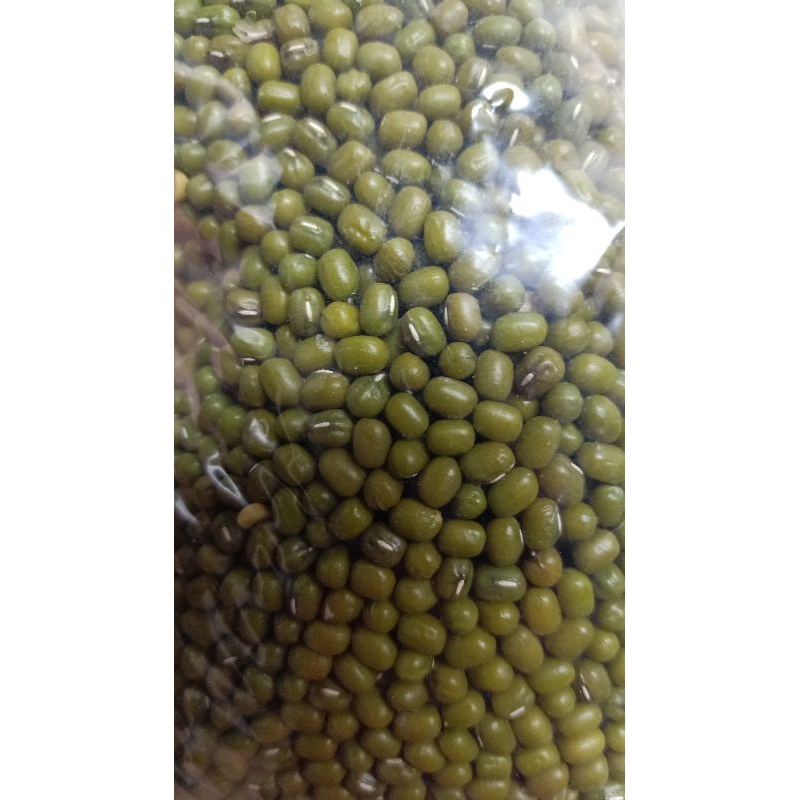 

Biji Kacang Hijau Kualitas Super Ukuran Besar