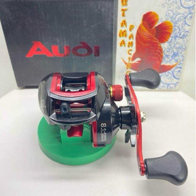 REEL BC LIZARD AUDI 8.1