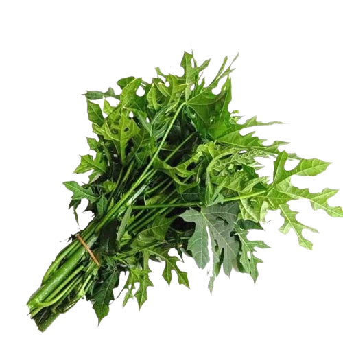 

Daun Pepaya Jepang Segar Per Ikat / Per Pack