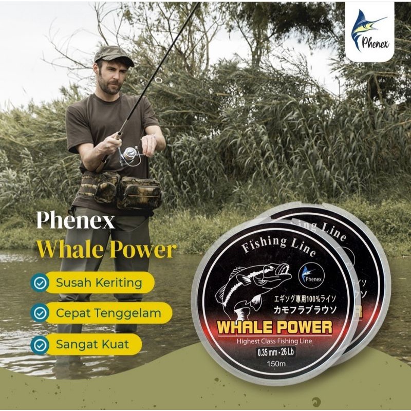 SENAR PHENEX WHALE POWER CLEAR 150M