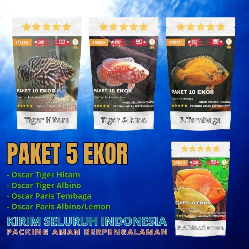 

Aneka Ikan Kering Oscar Paket 5e