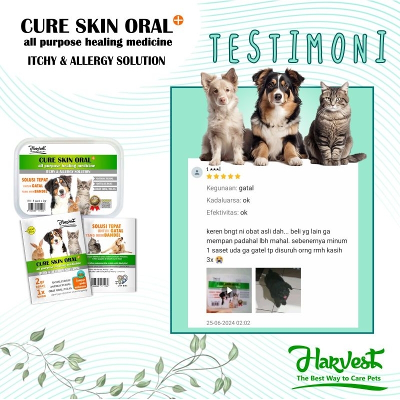 Artavela45 Obat Oral Minum Kucing Anjing Gatal Membandel Over Protein Alergi Infeksi - Harvest Cure