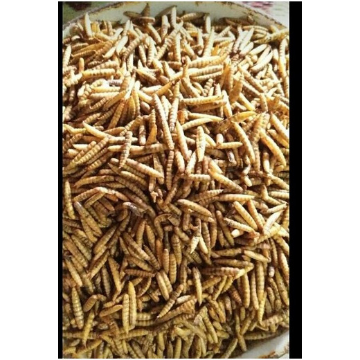 Maggot Kering BSF Maggot Tinggi Protein Kemasan 100 gram