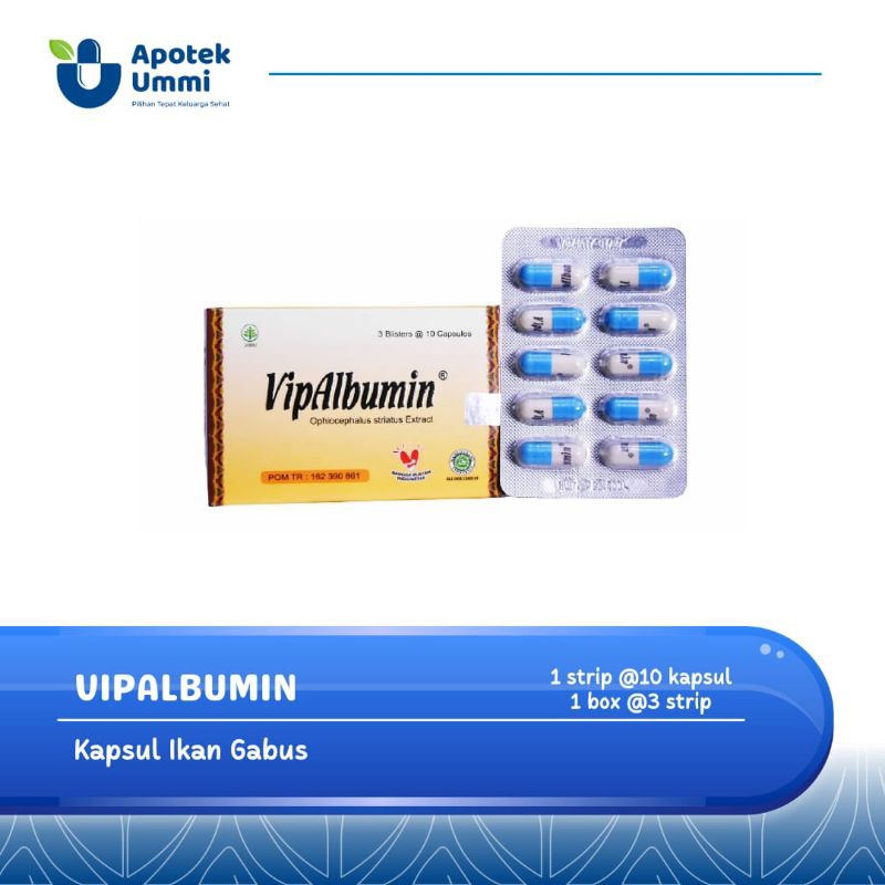 vip albumin capsul ikan gabus albumin kapsul