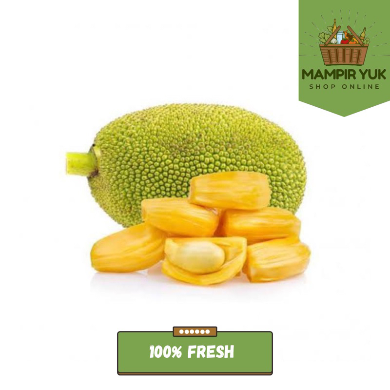 

Nangka kupas 250gr-1kg | mampiryuk