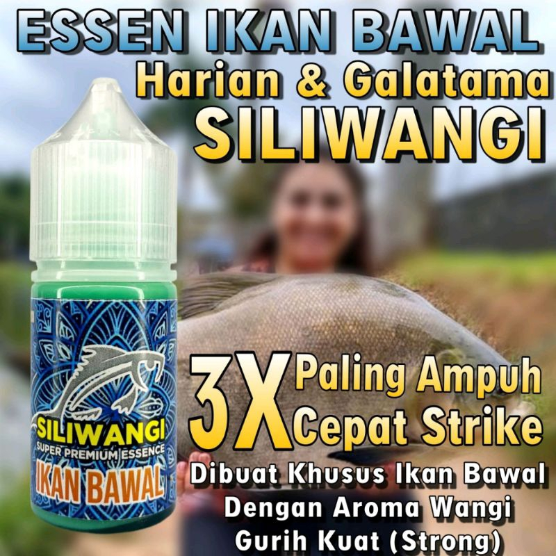 Essen Ikan Bawal Essen Siliwangi Original Essen Premium Essen Ikan Bahan Essen Terbaik Essen Ikan Ga