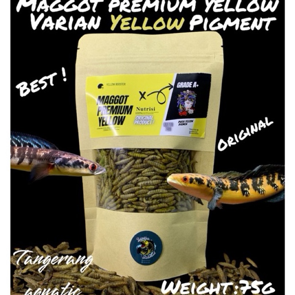 Banyak Dibeli  Maggot Kering BSF Super Premium Yellow Grade A Pakan Ikan Channa Oscar Pebas Ikan Hia