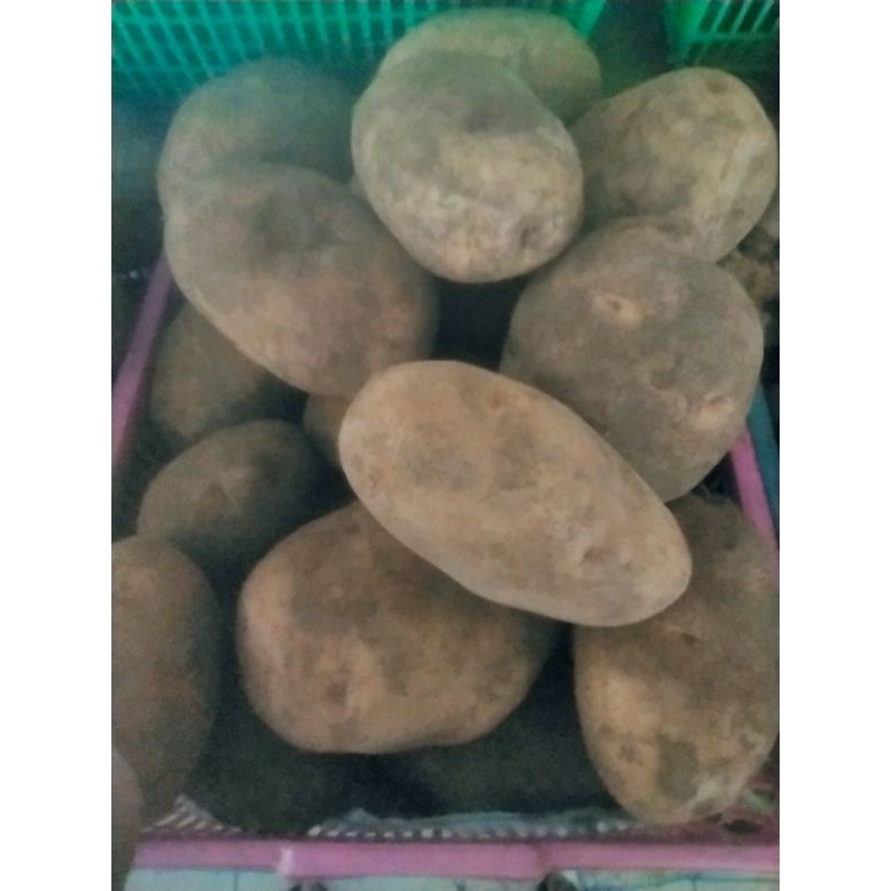 

Kentang fresh per 500gram