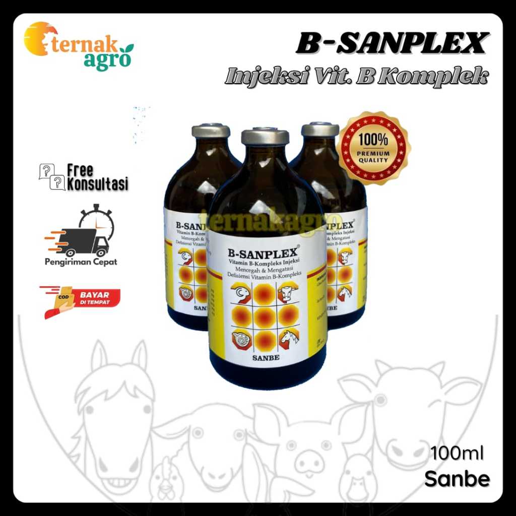 B-Sanplex (100ml) - Vitamin B-Komplek Injeksi