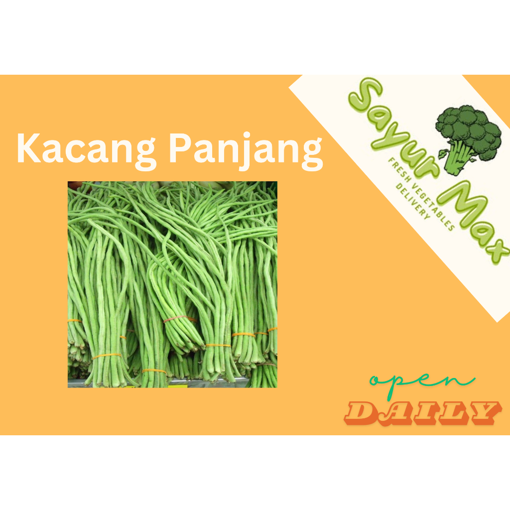 

Kacang Panjang