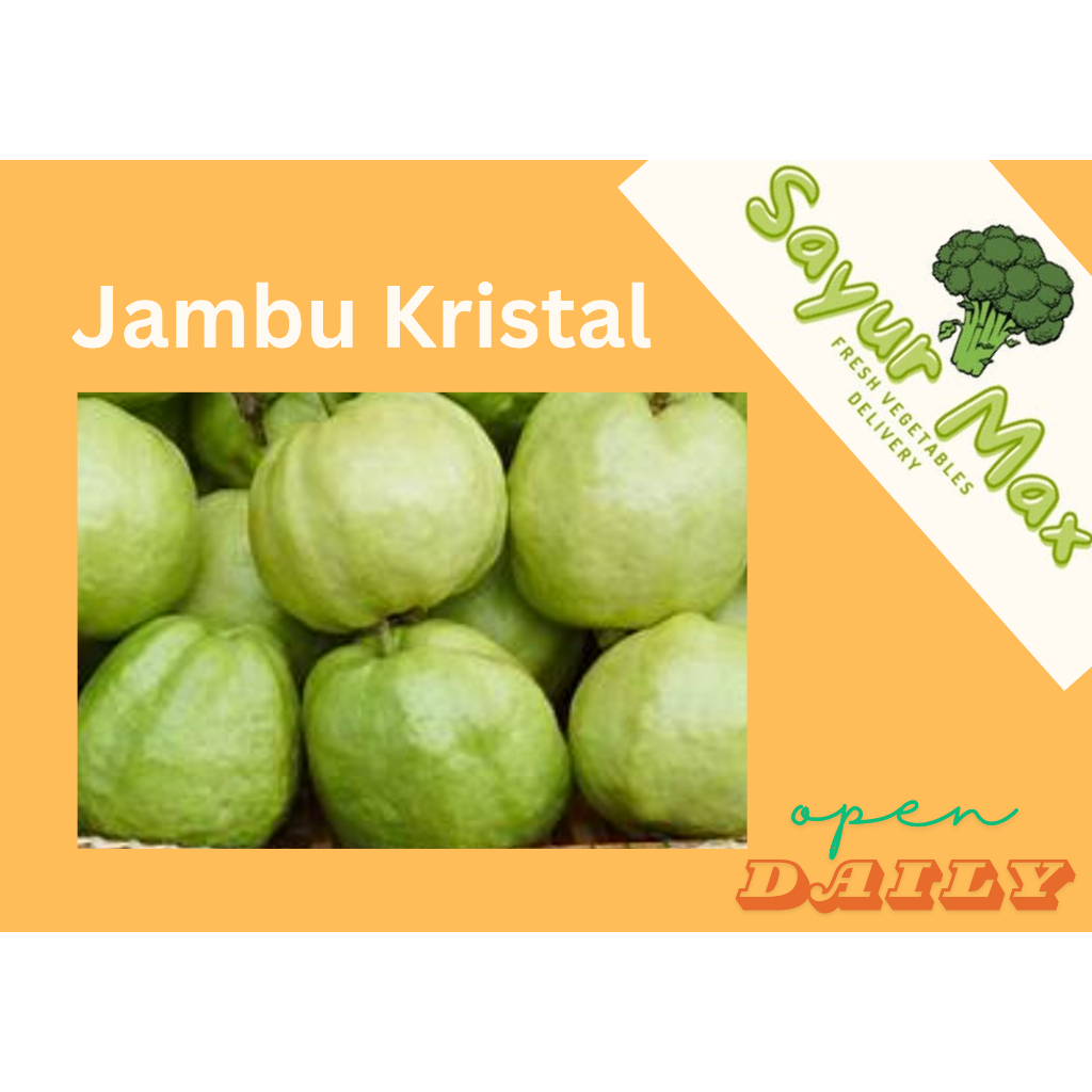

Jambu Kristal